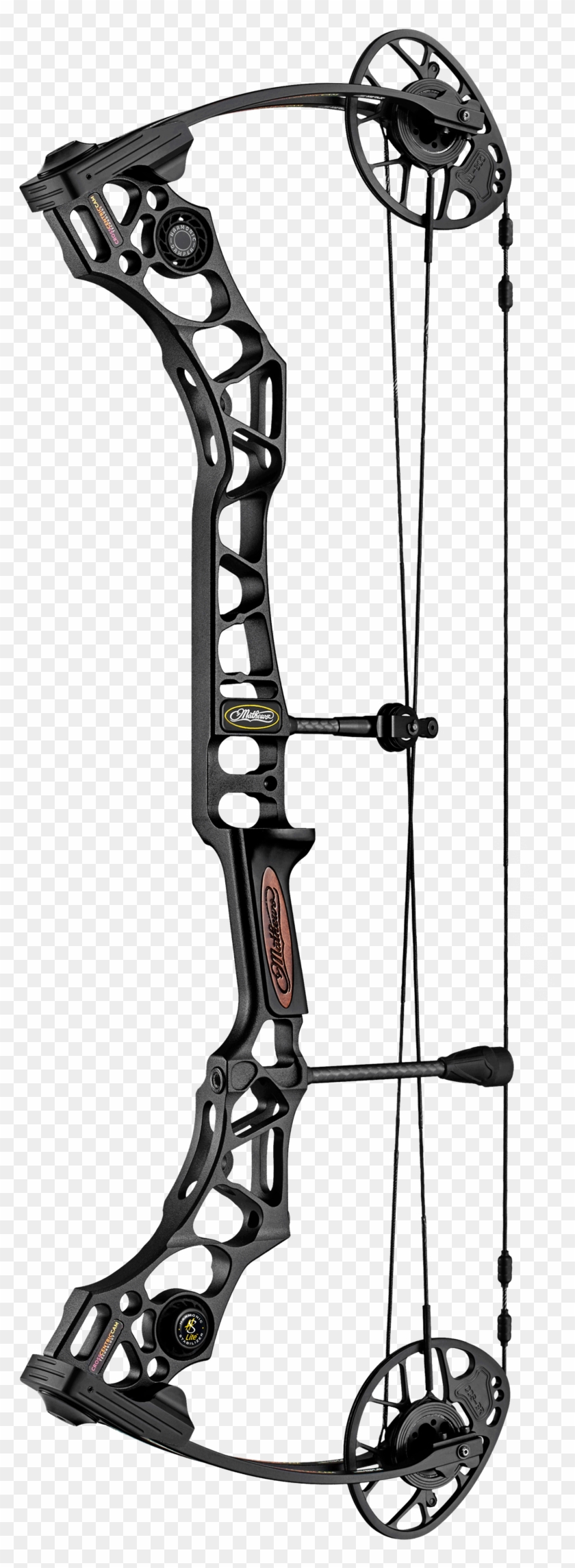 Vector Free Library Mathew S Hunting The - Mathews Avail Womens Bow #1361716