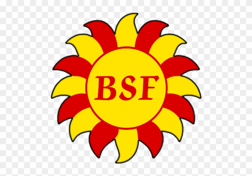 Bright Surface Finishers - Bright Surface Finishers #1361956