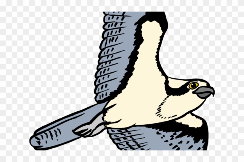 Osprey Clipart - Clip Art #1362107