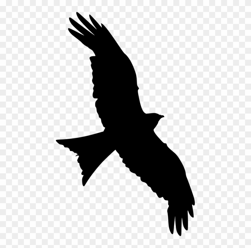 Bald Eagle Silhouette Bird Falcon Star Wars - Transparent Flying Falcon Silhouette #1362119