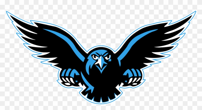 Transparent Background Peoplepng Com - Connellsville Falcons #1362120