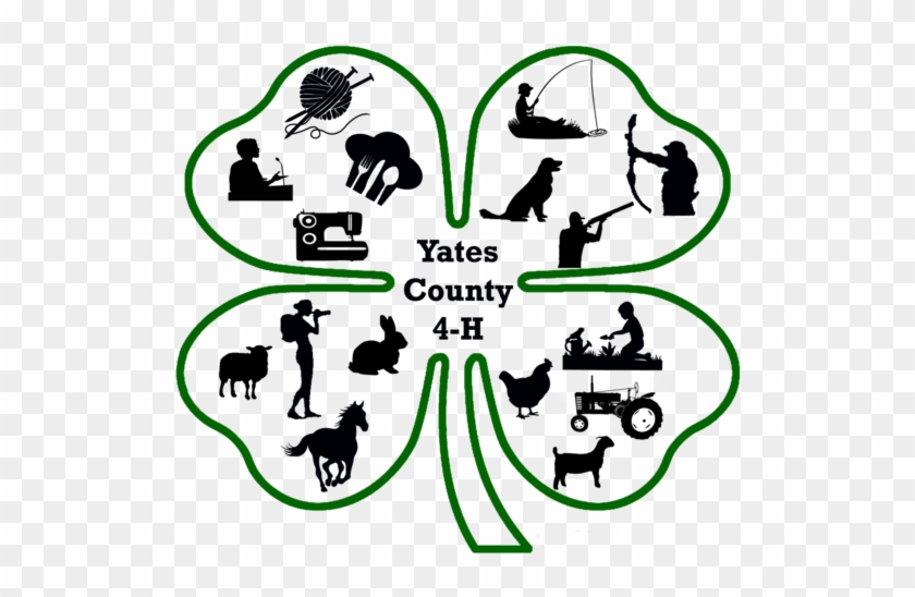 We Will Be Placing An Order For 4 H T Shirts - 4 Ht Shirt Designs #1362233