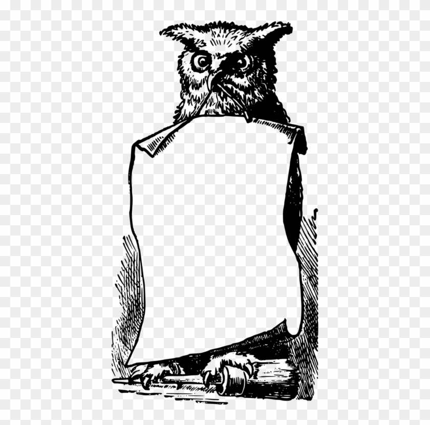 Owl Professor Minerva Mcgonagall Harry Potter Drawing - Harry Potter Border Clipart #1362450