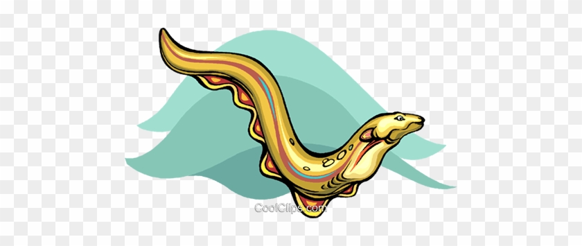 Eel - Clip Art #1362467