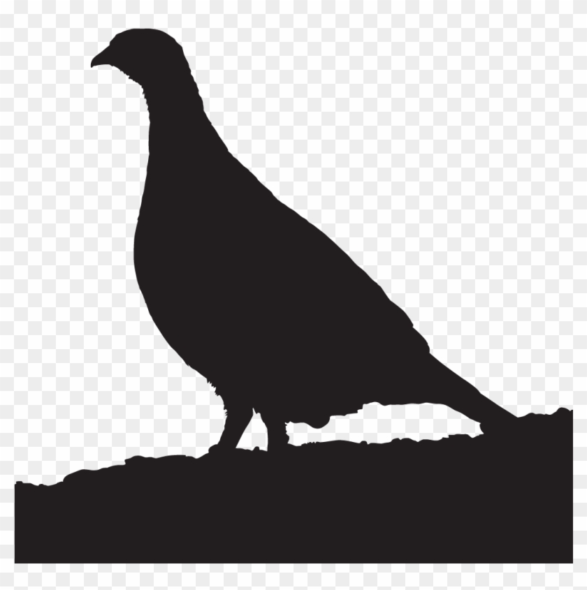 quail silhouette clip art