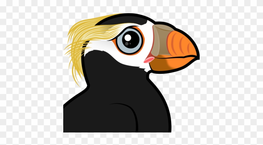 About The Tufted Puffin - Puffin #1362715
