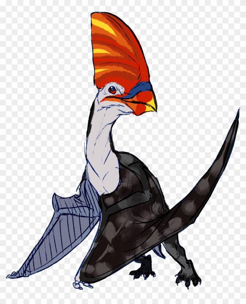 Puffin - Pileated Woodpecker #1362735