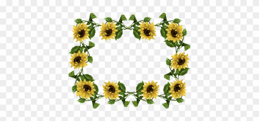 Sunflower Border Clip Art - Sunflower Border Png - Free Transparent P...