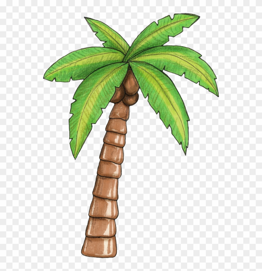Como Ia Viajar Em Dezembro E Não Teria A Confraternização - Moana Palm Tree #211734