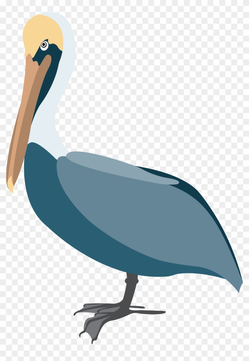 Pelican 3 Clip Art - Clip Art #211833