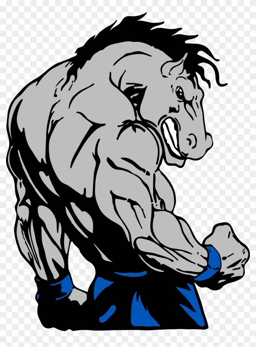 Contact Us - Bodybuilding Horse #212323