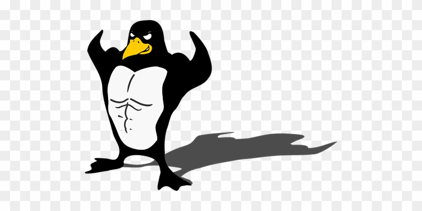 Penguin Bodybuilder Linux Muscle Tux Anima - Muscle Penguin #212361