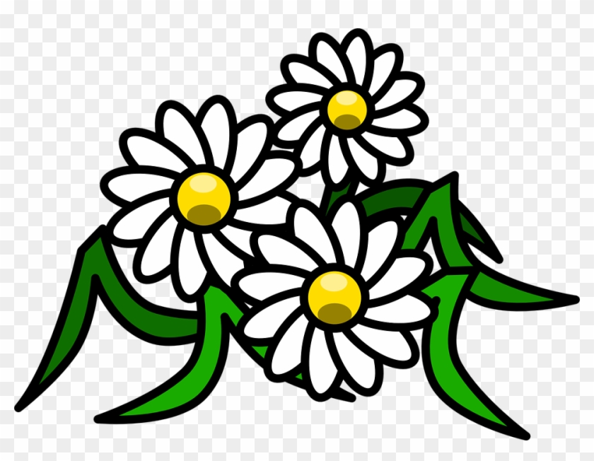 Clipart Gratis - White Flowers Clip Art #213201