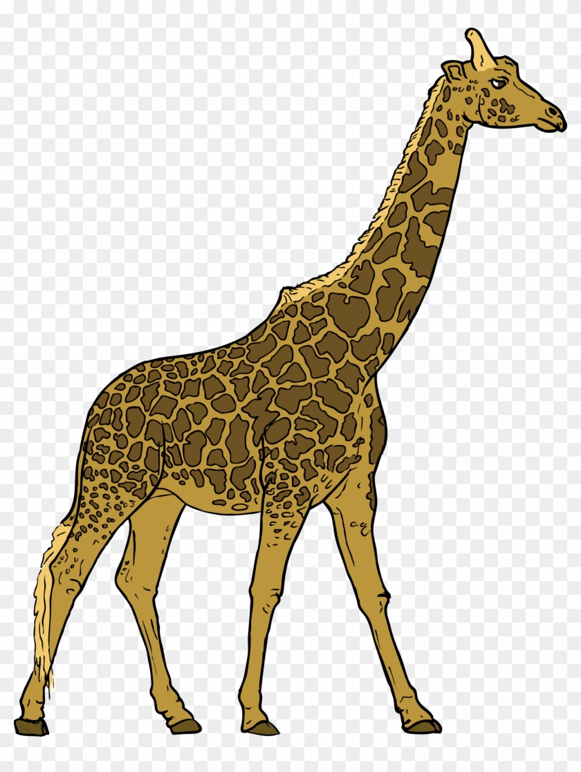 Free Vector Giraffe Clip Art - Clipart Giraffe #213647