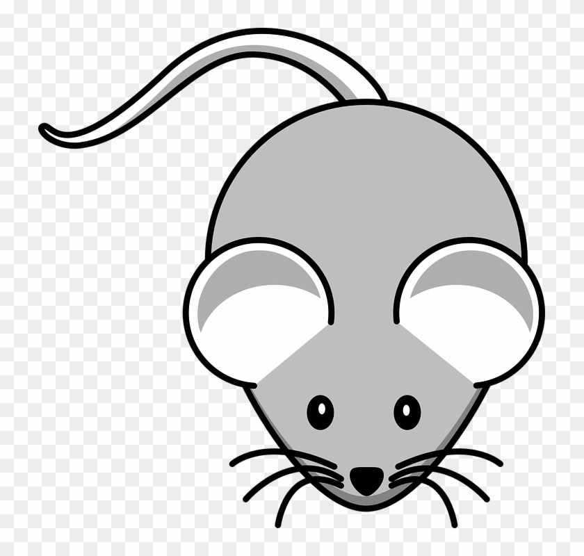 Whiskers Clipart Mouse Animal - Mouse Clipart #214341