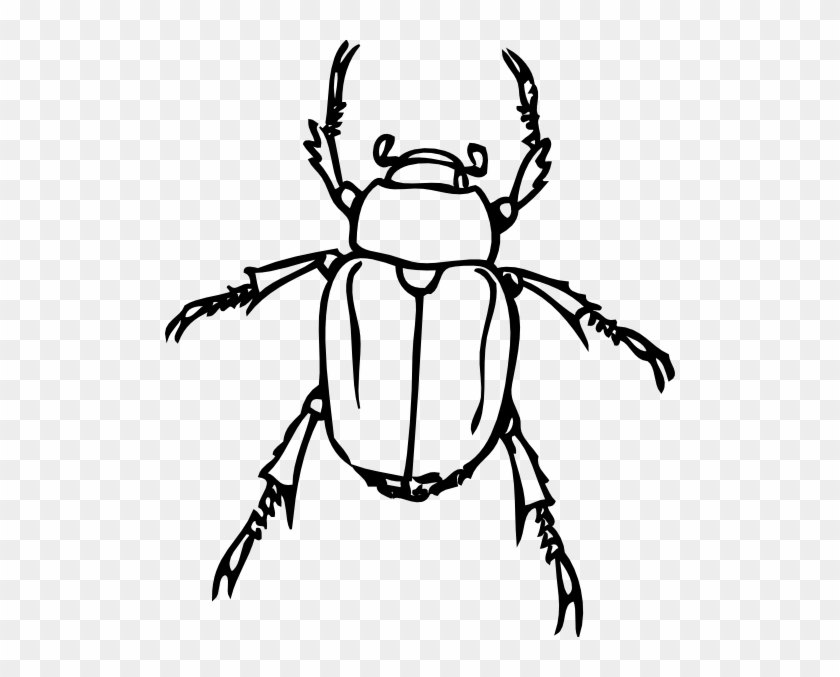 Beetle Outline Clip Art At Clker - Beetle Black And White #214508