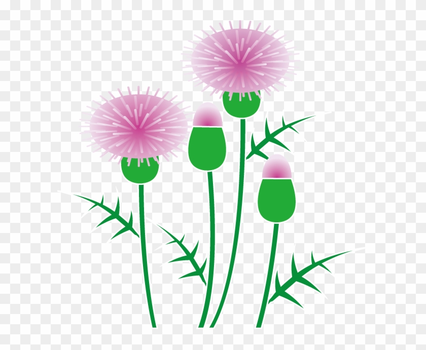 Other Popular Clip Arts - Thistle Clipart #214901