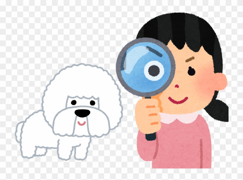失敗しない ビションフリーゼの子犬の選び方 観察 看護 Free Transparent Png Clipart Images Download