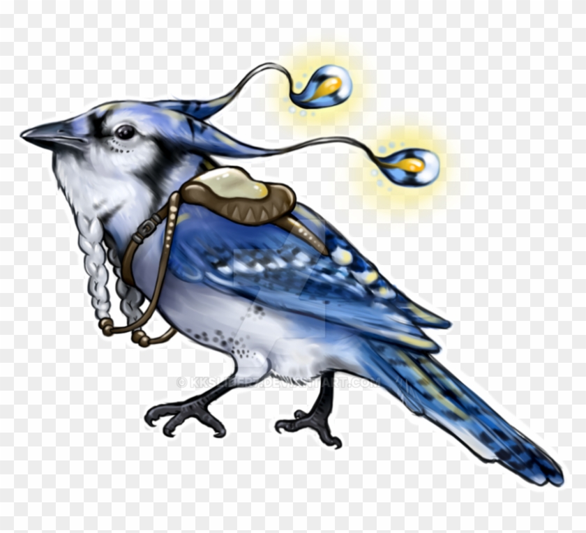 Bluejay Drawing Cute Image Library Download - Drawing - Free