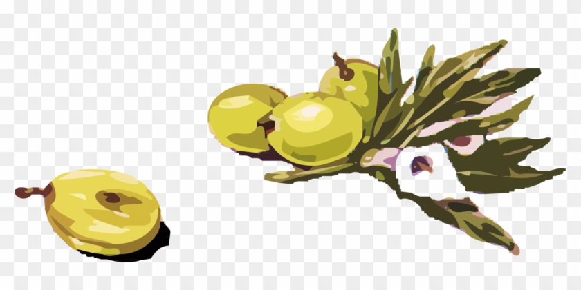 Olive Branch Drawing Download - Olives Clipart #1363128