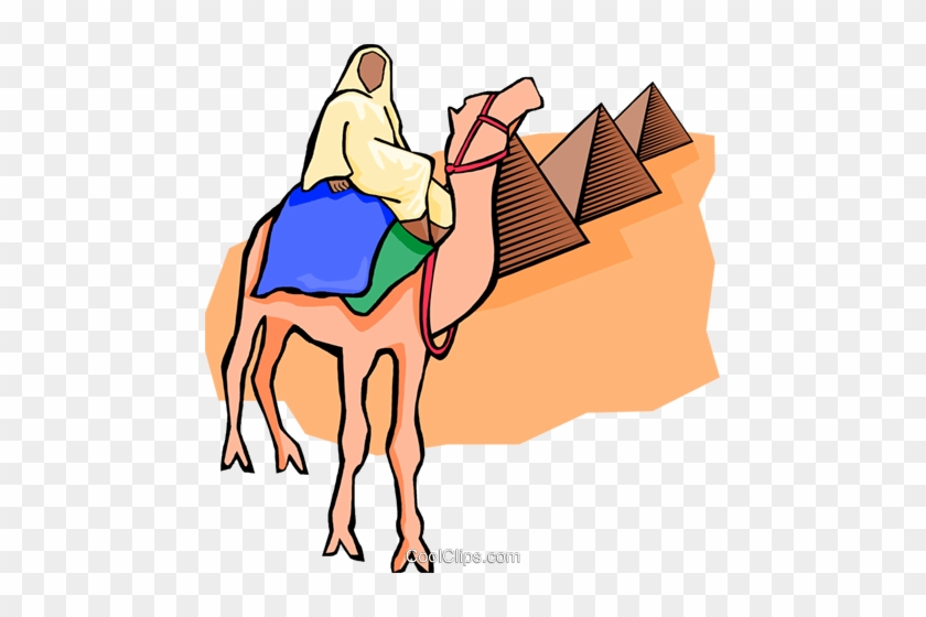 Egyptian On Camel, Pyramids Royalty Free Vector Clip - Egyptian On Camel, Pyramids Royalty Free Vector Clip #1363145