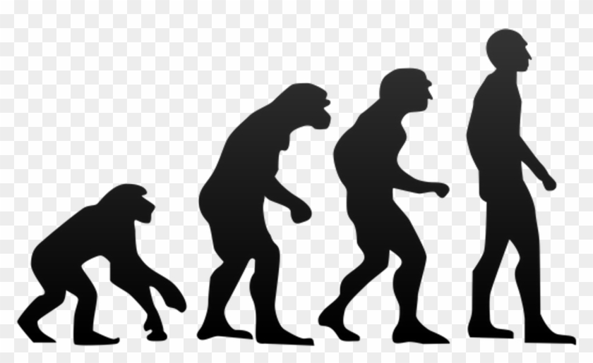 Lesson Changes Will Make - Evolution Of Humans Png #1363200