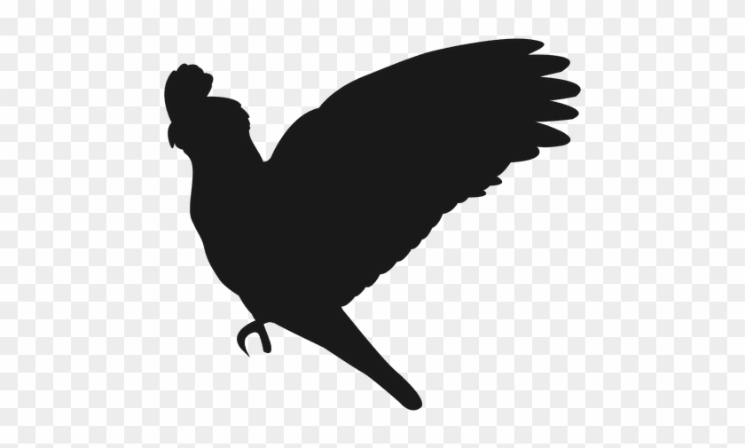 Parrot Silhouette - Parrot Silhouette #1363290