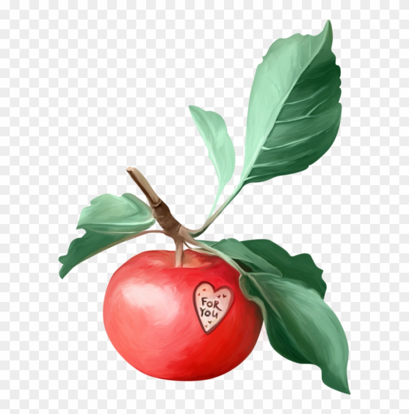 Apples, Clip Art, Fruit, Apple, Illustrations - .net #1363361