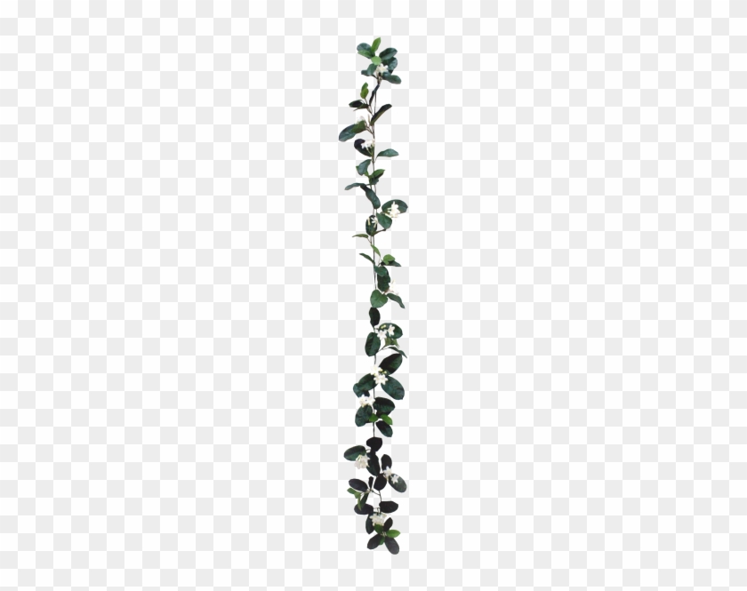 White Flower Garland Png - Cut Flowers #1363374