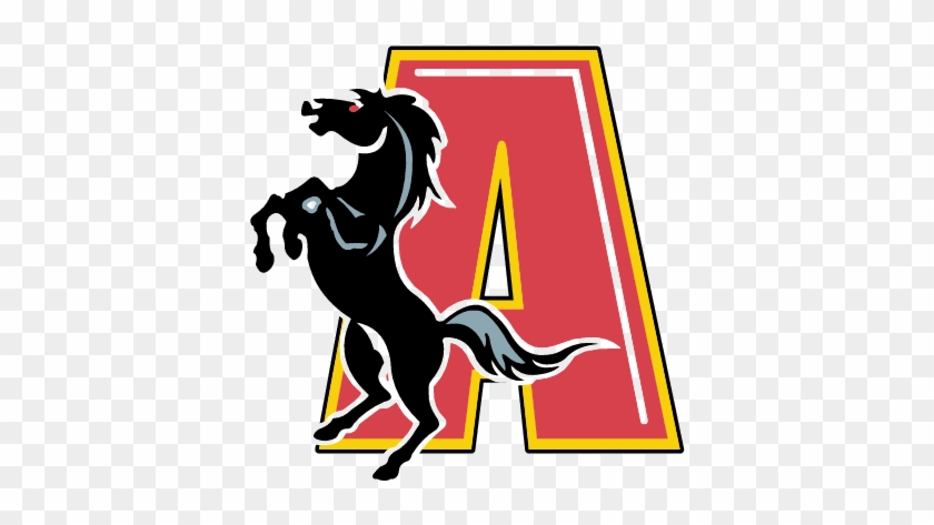 Augusta Stallions - Stallions #1363458
