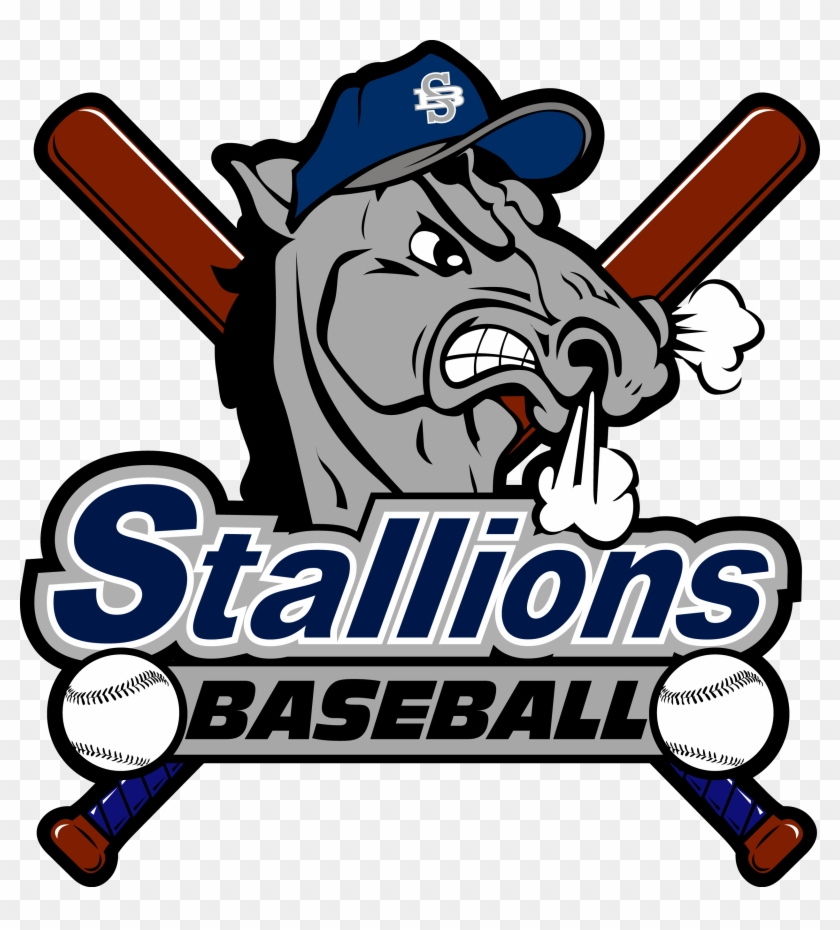 Stallions Baseball Club I Have A Dream Mlk On Freedom - Stallion #1363477