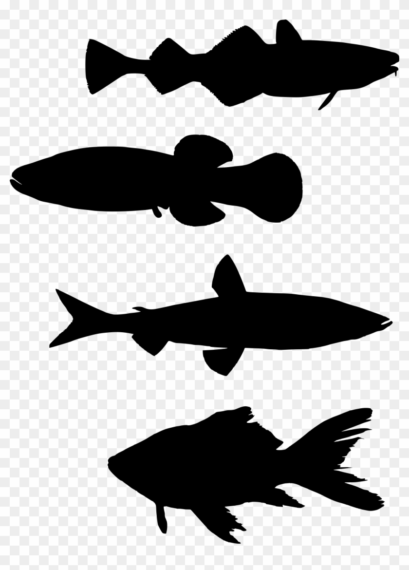 Fish Silhouette Shoaling And Schooling Computer Icons - School Of Fish Silhouette Png #1363724