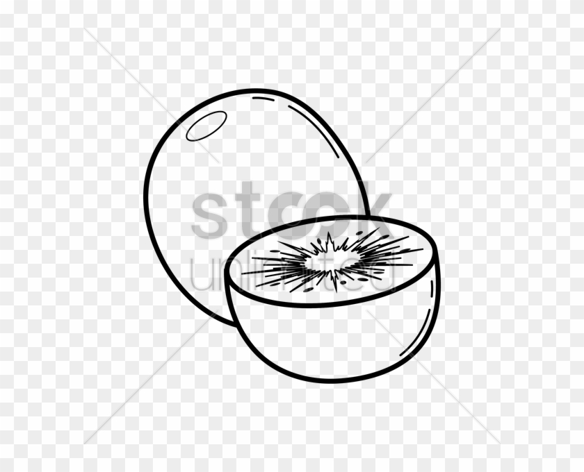 Kiwi Drawing At Getdrawings Com Free For - Vector Graphics #1363949