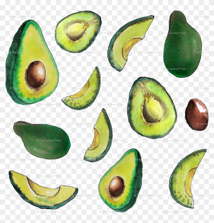 Avocado #1364221