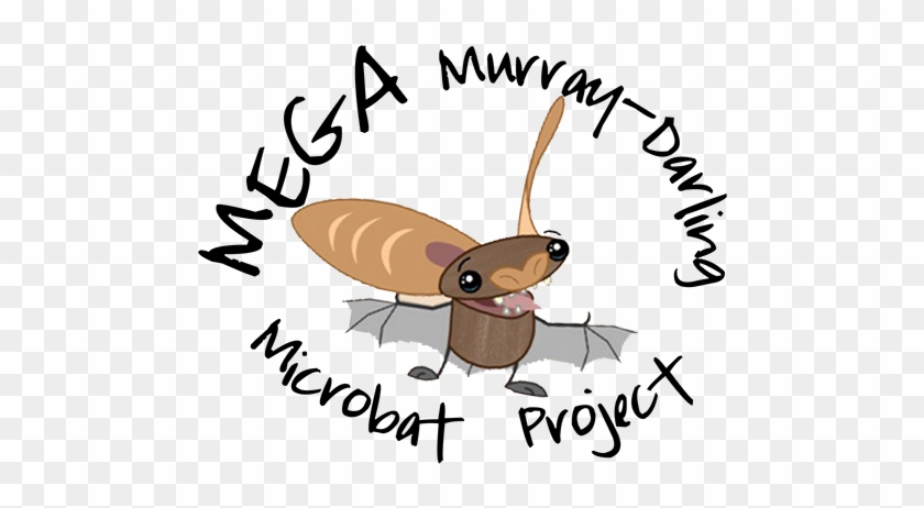 Mega Murray-darling Microbat Project - Darling River #1364558