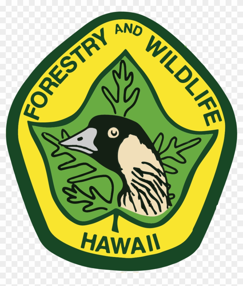 Of Land And Natural Resources/division Of Forestry - Dofaw Logo #1364629