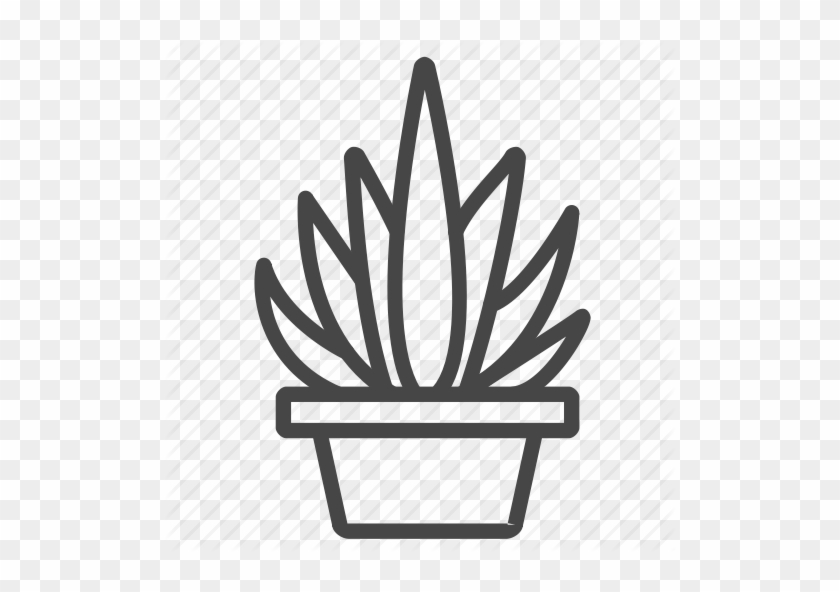 Cactus And By Siwat - Succulent Svg #1364895