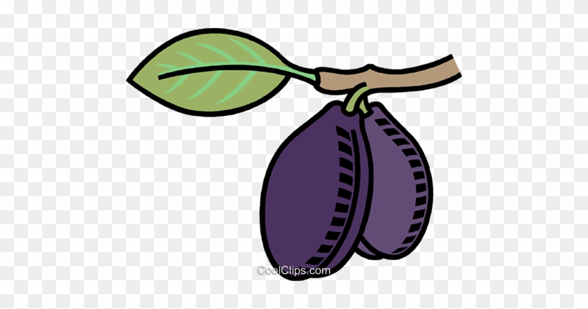 Plums Royalty Free Vector Clip Art Illustration Vc008831 - Plums Royalty Free Vector Clip Art Illustration Vc008831 #1365117