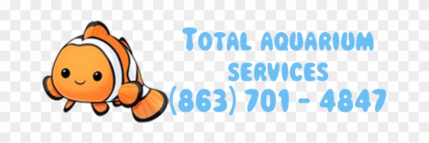 Total Aquarium Services - Aquarium #1365118