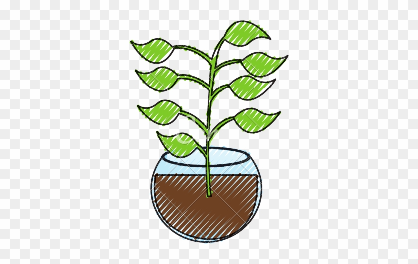 Aquarium Clipart Aquatic Plant - Illustration #1365122