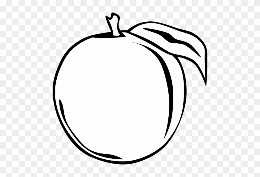 Peach Vector Clip Art Public Domain Vectors - Peach Outline #1365126