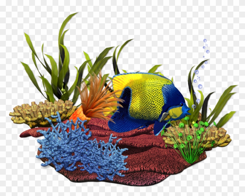 Seaside Clipart Ocean Life - Aquarium #1365129