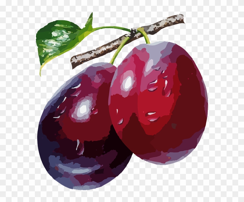 Plum - Plum Meaning In Urdu #1365131