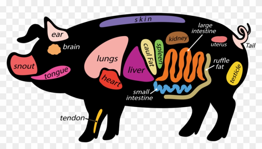 Mutton Clipart Pig Meat - Pork Ruffle Fat #1365342