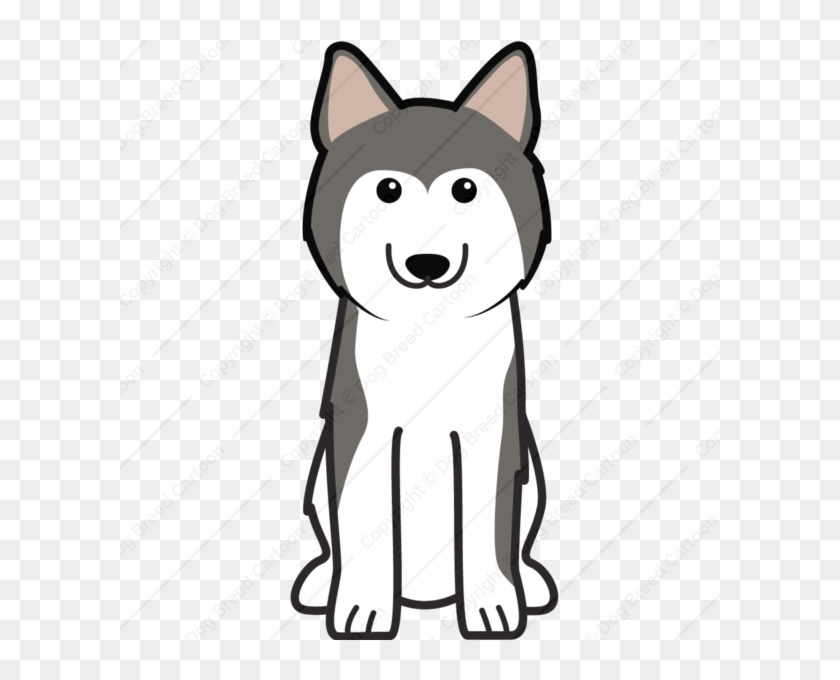 Cartoon Husky Clipart Siberian Husky Alaskan Malamute - Dibujar Un Perro Siberiano #1365363