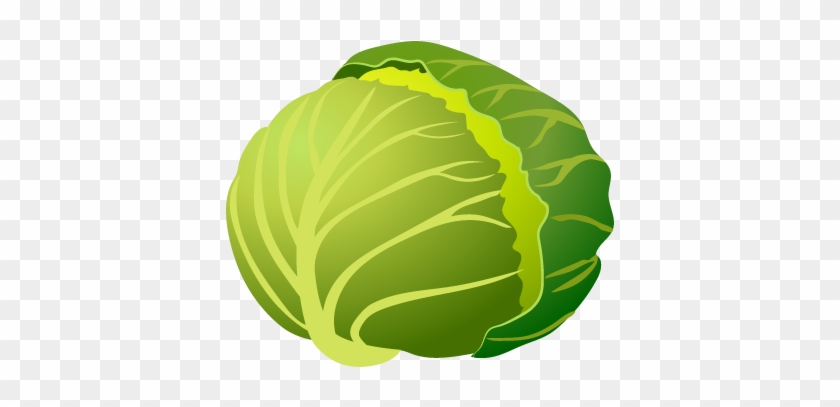Clip Art Library Library Free Clip Art Image - Cabbage #1365466