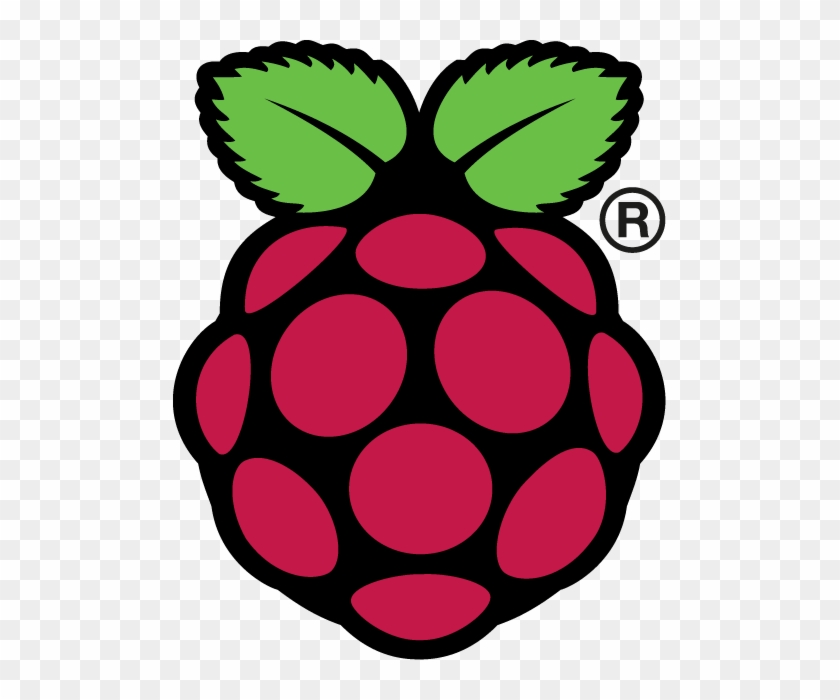 We Will Refer To This As The “raspberry Pi Logo” - Raspberry Pi Logo #1365528