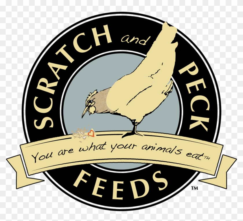 Scratch And Peck Feeds Logo High Saturation - Scratch And Peck #1365724