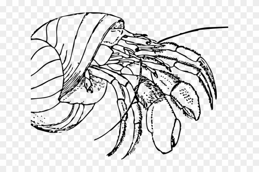 Crab Clipart Svg Free - Hermit Crab Clipart Black And White #1365878