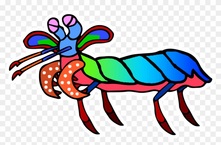 Picture Free Mantis Cartoon Desktop Backgrounds - Mantis Shrimp Transparent Background #1365881